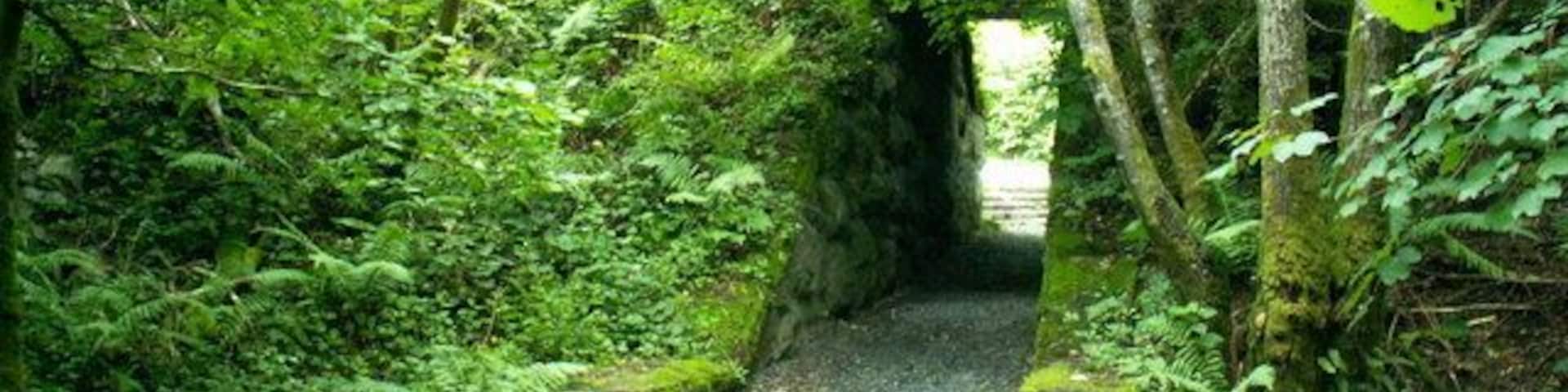 Tunnel A tunnel under the long closed Bala to Dolgellau railway at the National Whitewater centre.