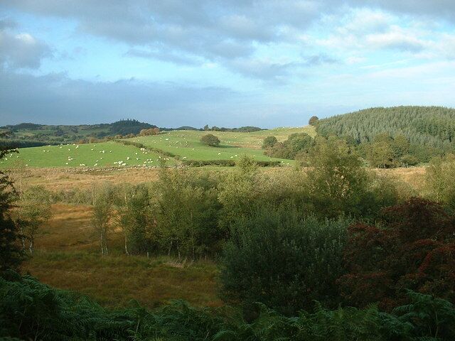 Looking towards Parc-y-derwgoed. Parc-y-derwgoed is the wood at centre right. 'Derwgoed' means 'oaktree wood', but it looks to be mostly conifer now.