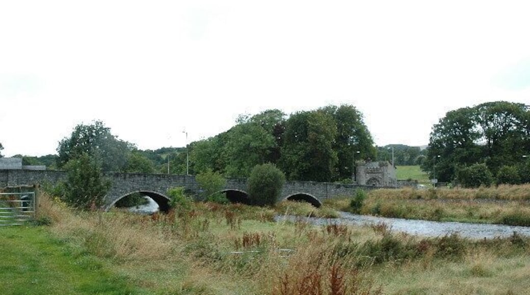 Bridge over Afon Tryweryn. This is the A494 crossing Afon Tryweryn near Llyn Tegid.