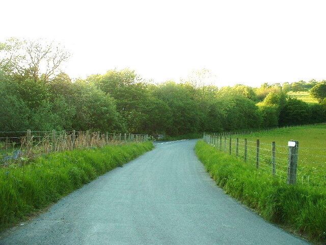 A narrow rural road flanked by lush greenery and a wire fence.