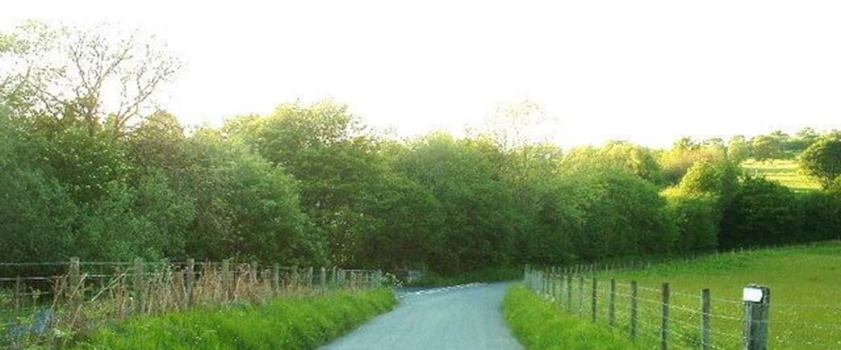 A narrow rural road flanked by lush greenery and a wire fence.