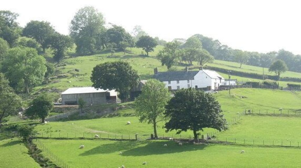Ffermdy Ty-cerrig Farmhouse, Llangywair/Llangower