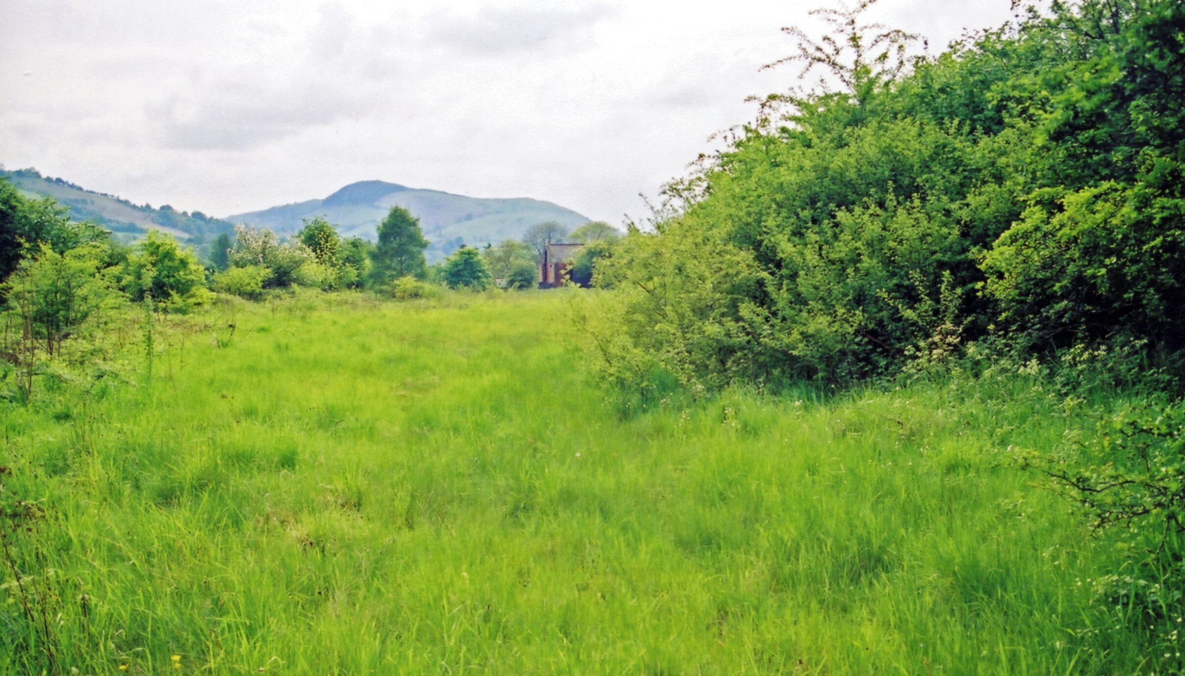 Site of former Llandderfel station. View NE down the Upper Dee valley, towards Corwen, Llangollen and Ruabon on the trackbed of the ex-GWR Ruabon - Llangollen - Bala Junction - Dolgellau - Morfa Mawddach line, blocked by flood 14/12/64, officially closed 18/1/65.