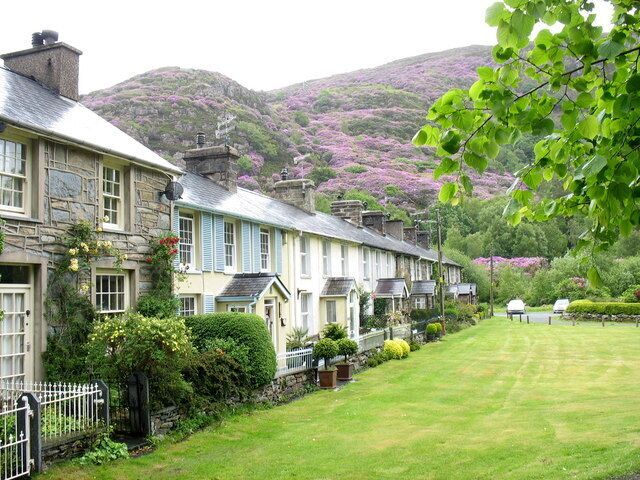 A row of stone houses with a grassy lawn and purple flowers in the background.