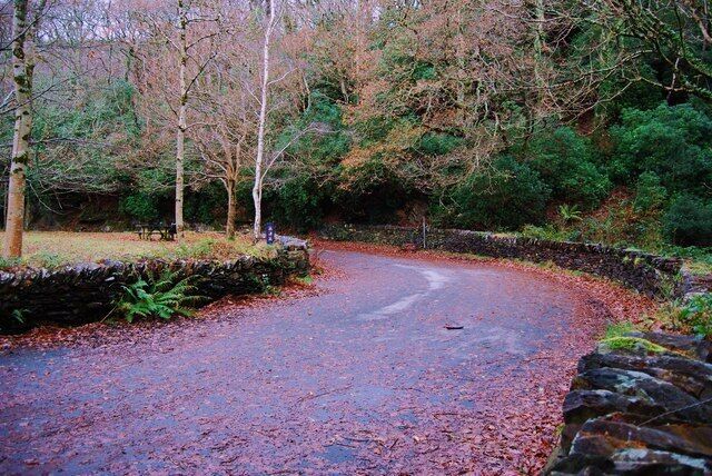 Uma estrada sinuosa atravessa uma área arborizada, com um muro de pedra de um lado e uma ponte de pedra ao longe.