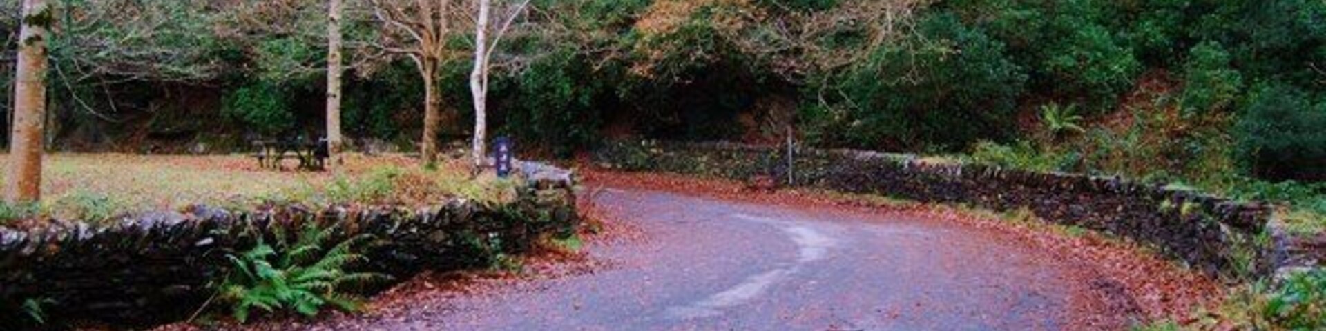 Uma estrada sinuosa atravessa uma área arborizada, com um muro de pedra de um lado e uma ponte de pedra ao longe.
