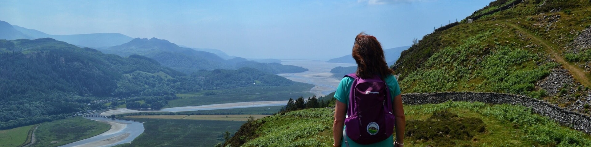 Taking in the view overlooking the Mawddach Estuary with Poppy dog