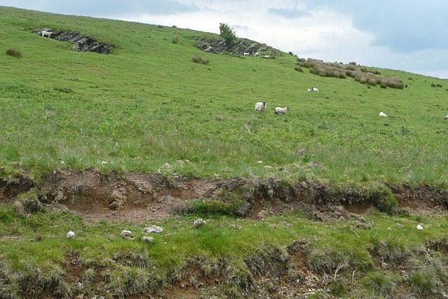 Una ladera cubierta de hierba con ovejas pastando y un afloramiento rocoso a lo lejos.