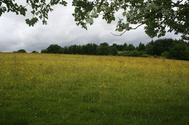 Towards Careg-ywen The pastureland towards Careg-ywen.