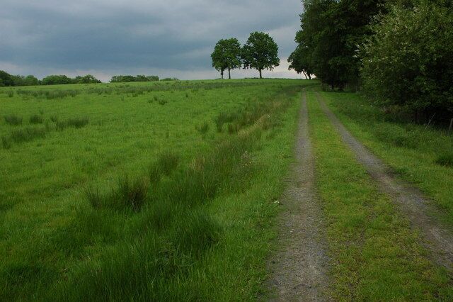Track to Forty Acre Wood, near Cwmbach Llechrhydd Track providing access to fields