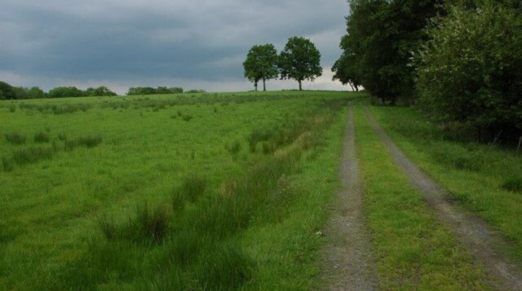Track to Forty Acre Wood, near Cwmbach Llechrhydd Track providing access to fields
