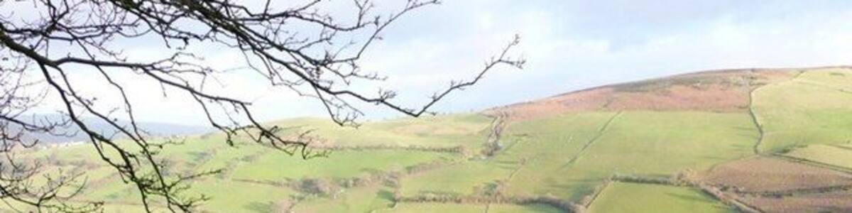 View towards Pant From a good viewpoint on the road over the moors, just to the east of the cattle grid. This view is north-east over the square towards the buildings of Pant, in the square, and Cefn Wylfre the hill on the right horizon.