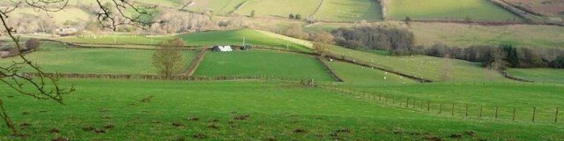 View towards Pant From a good viewpoint on the road over the moors, just to the east of the cattle grid. This view is north-east over the square towards the buildings of Pant, in the square, and Cefn Wylfre the hill on the right horizon.