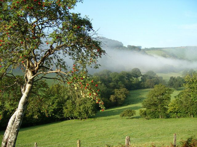 Cwm Chwefru - misty morning