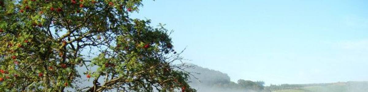 Cwm Chwefru - misty morning