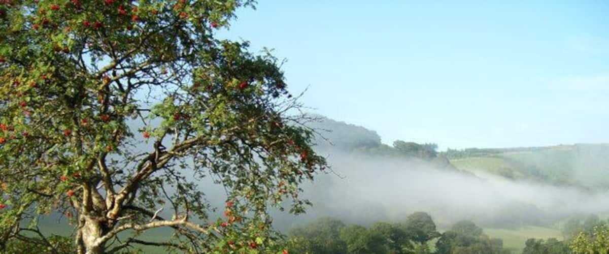 Cwm Chwefru - misty morning