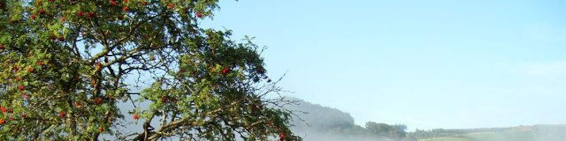 Cwm Chwefru - misty morning