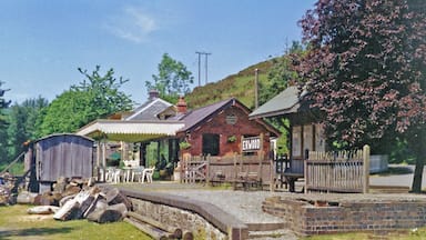 Former station at Erwood, 1994. View NW, towards Builth Wells and Moat Lane: ex-Cambrian Railway Moat Lane - Brecon (Mid-Wales) line, closed completely 31/12/62. This is an unusual transformation of a former station into a café, on the main road down the Wye Valley.