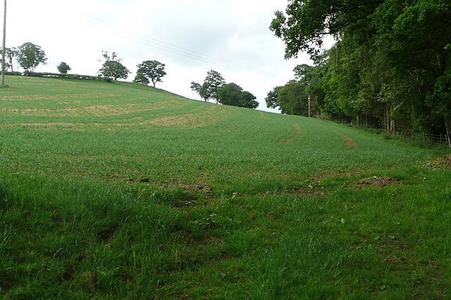 Field near Esgair-hir The bridleways are confusing around here, but after careful study I concluded it does not go up this field boundary.
