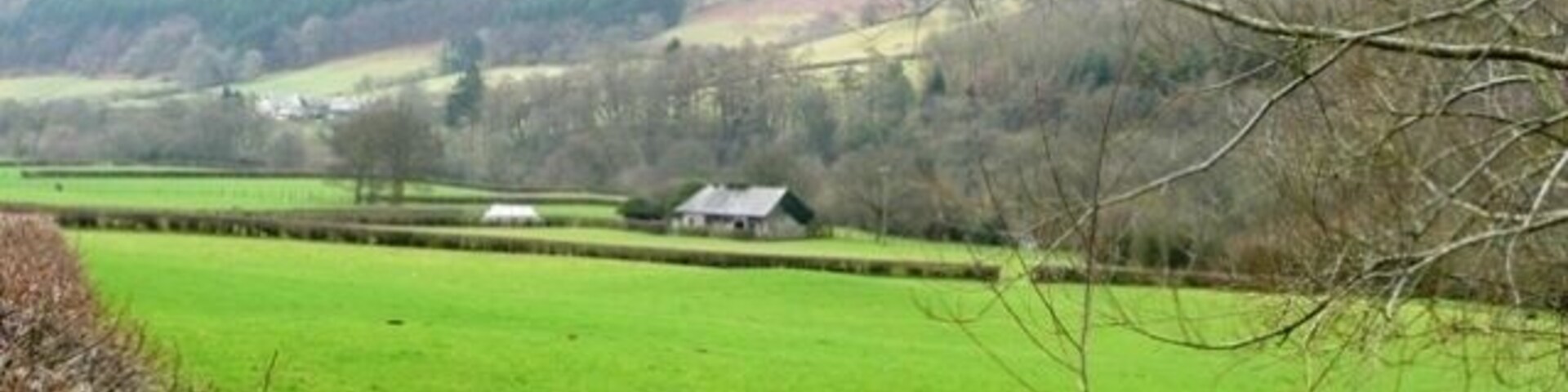 Um campo verde com uma casa ao longe e uma árvore em primeiro plano.