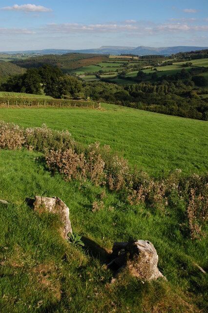 Un campo cubierto de hierba con rocas dispersas y colinas a lo lejos.