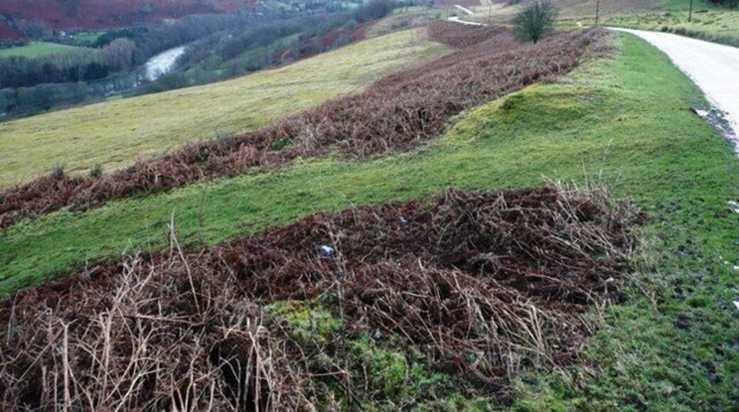 Wye valley at Twmpath A minor road gingerly descends the steeply sided valley. When driving stop before looking otherwise you are liable to veer off onto the ever steepening soft ground.