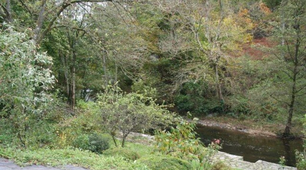 Edw past the garden The river Edw passing the garden of a house on the bank.