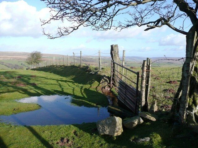 A rural landscape with a wooden bridge over a small pond, surrounded by grassy fields and a fence.