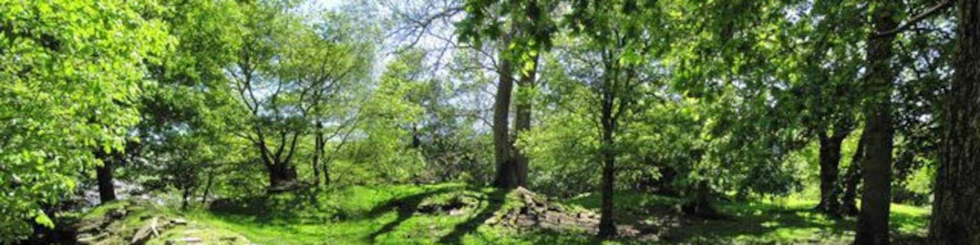 The inside This is a stitch of the inside of Aberedw Castle and gives a reasonable idea as to the lay out of the place.