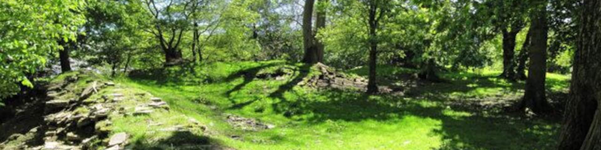 The inside This is a stitch of the inside of Aberedw Castle and gives a reasonable idea as to the lay out of the place.