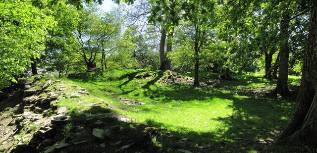 A forested area with a stone path, green grass, and trees.