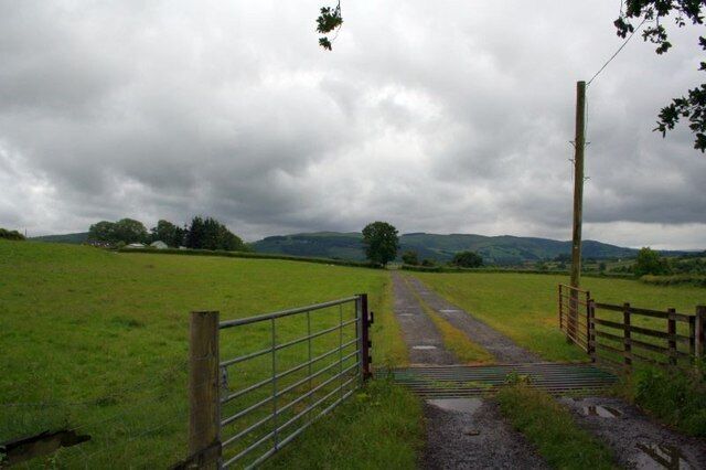 Track to Pen-y-banc Pastures by the road to Pen-y-banc