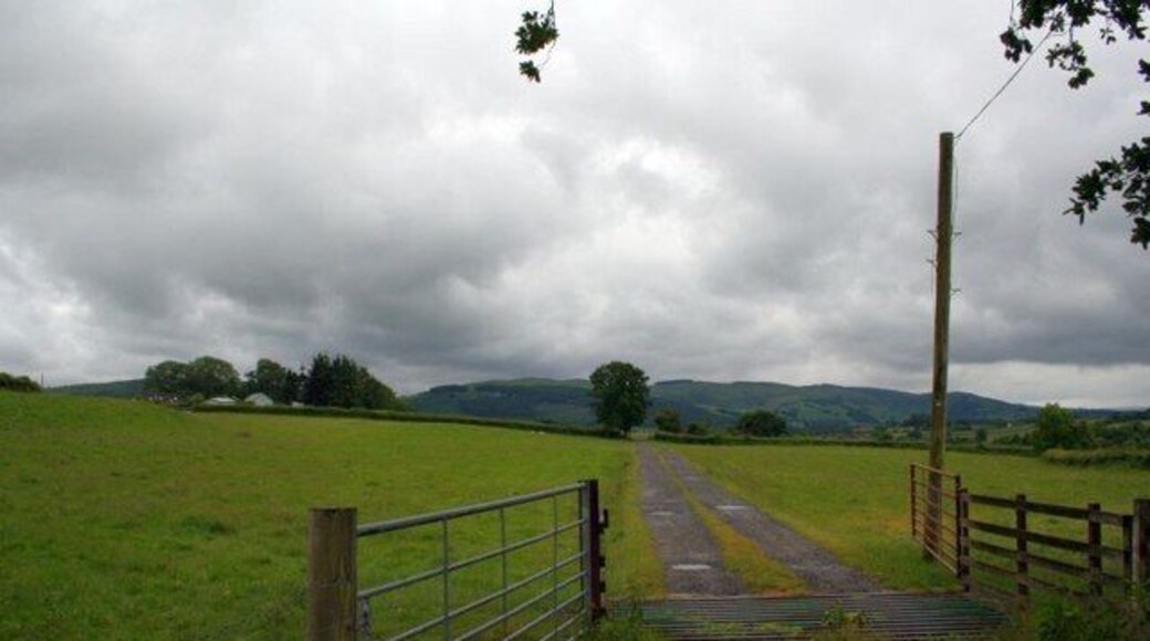Track to Pen-y-banc Pastures by the road to Pen-y-banc