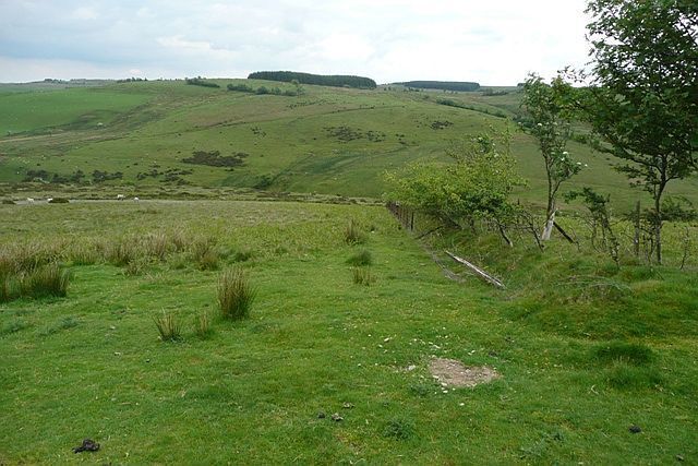 Most of the square The view is south-west across most of the centre of the square, with the Blaen Duhonw in the middle distance and stands of trees in the centre of the square on the horizon.