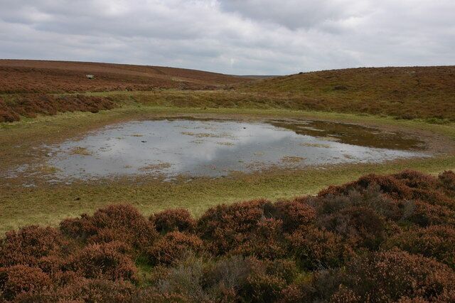 Small pool on Llandeilo Hill One of many pools to be found in the hills in this area, like many of the smaller pools this one is almost dry.