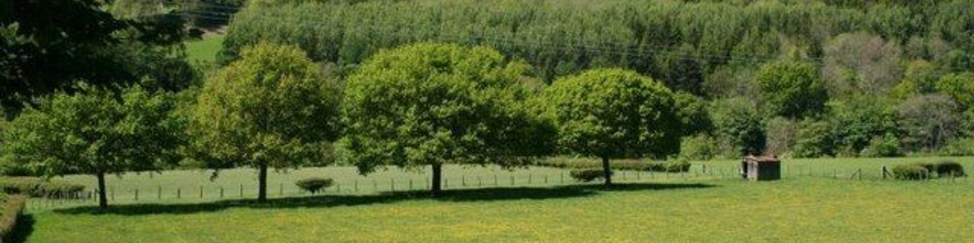 Shed by the line An old workman's hut can be seen in the distance by the old railway which is by the line of trees in mid-picture.