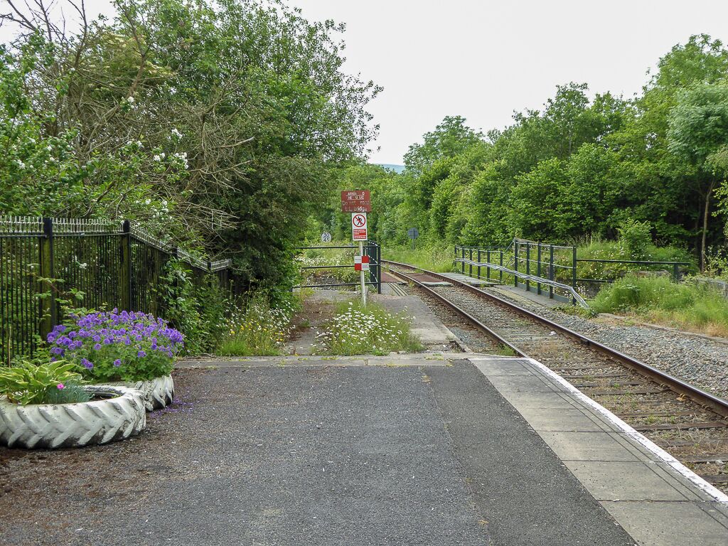 A railway crossing with a red stop sign, surrounded by lush greenery and a flower bed with purple flowers.