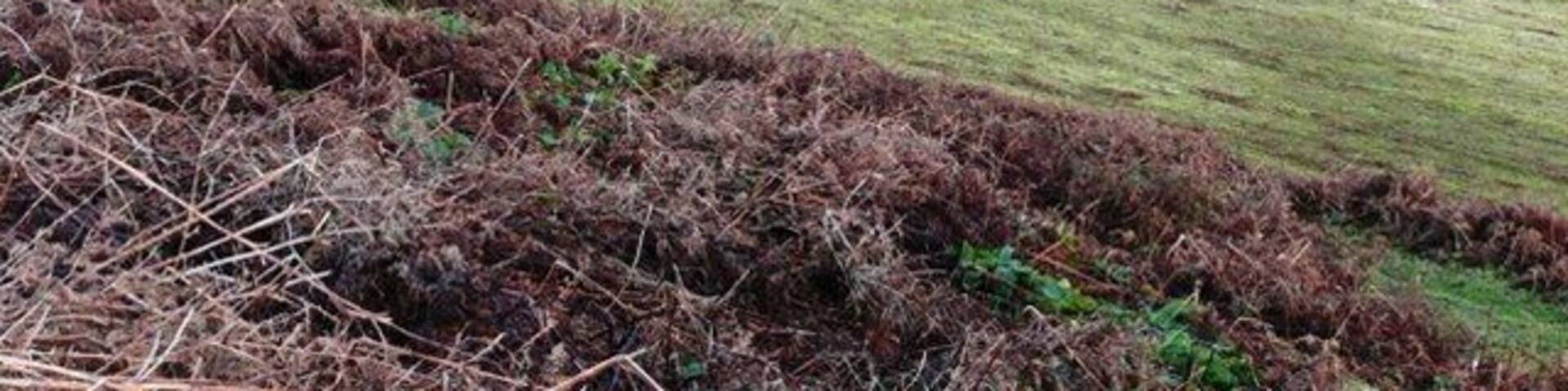 Wye valley from Twmpath The climb above the valley to Twmpath taken by the Wye Valley Walk, offers a commanding view up the river towards Builth Wells. The layers of land, pasture, woodland, moorland, can be seen clearly.
