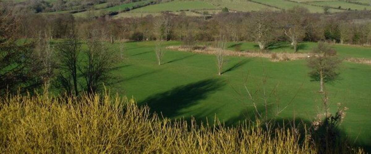 Rolling green hills, a clear sky, and a grassy field.