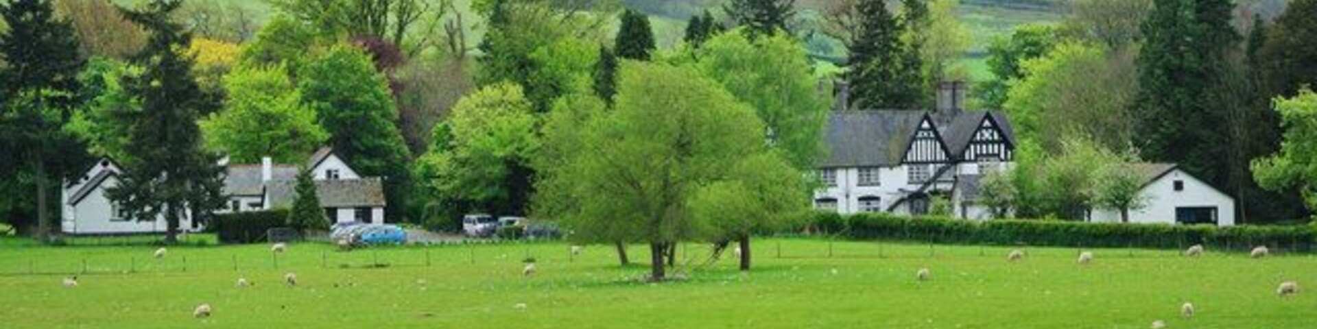 Green Pastures near to Caersws