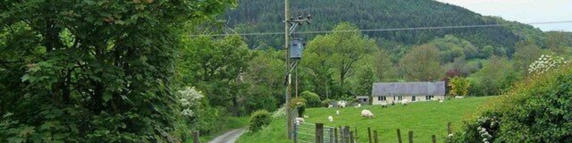 Farm track off A470 Not a public right of way. Around here is sheep farming country.