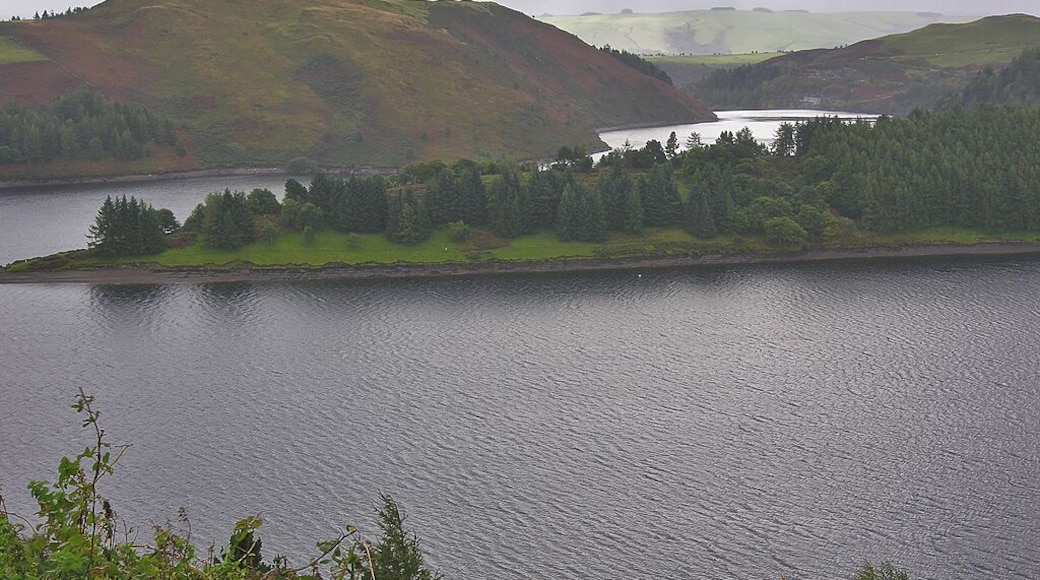 Llyn Clywedog