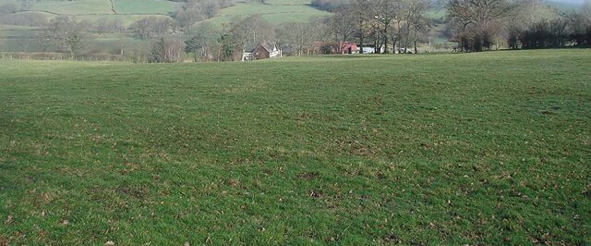 Looking towards Ffridd-isaf Ffridd-isaf Farm is seen here from the path leading from Park Wood to Pen-y-ffynnon.