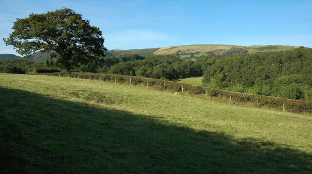 Carno valley near Clatter Farmland in the Carno valley near Clatter.