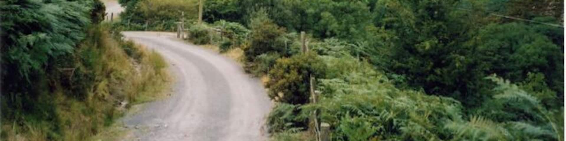 A winding country road through a hilly landscape with lush greenery and distant fields.