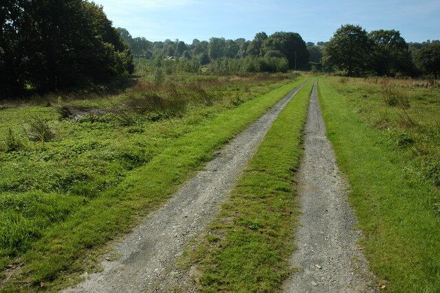 Track to Trawsgoed-pellaf Track and public byway to Trawsgoed-pellaf and the open common beyond.