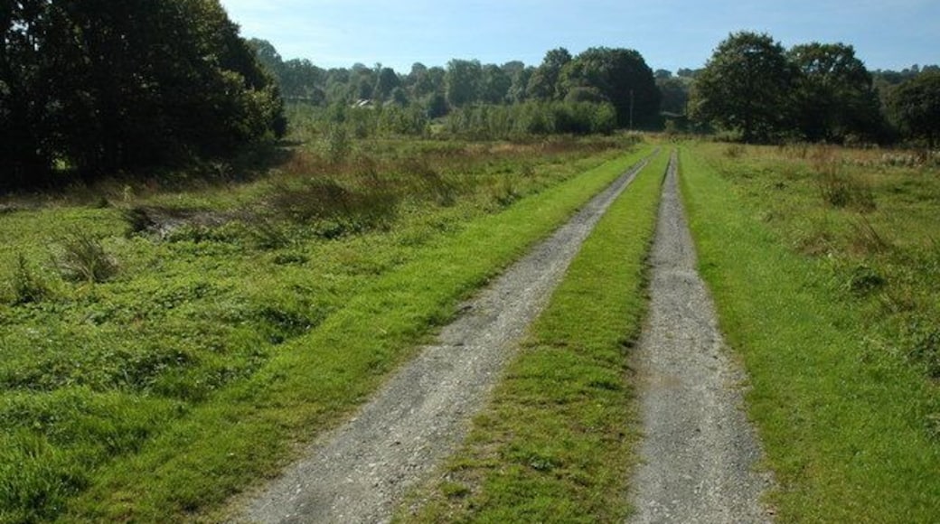 Track to Trawsgoed-pellaf Track and public byway to Trawsgoed-pellaf and the open common beyond.