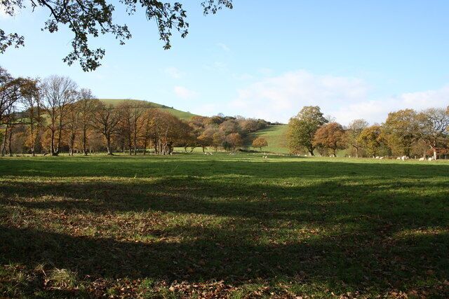 A grassy field with trees and a hill in the background.