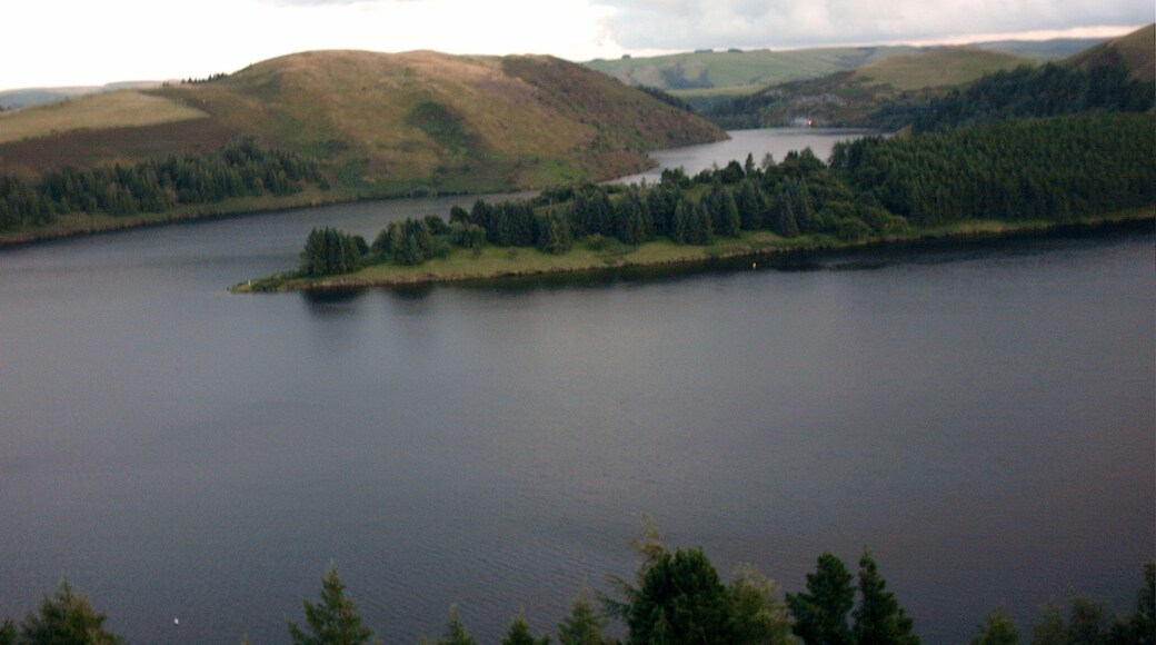 Llyn Clywedog