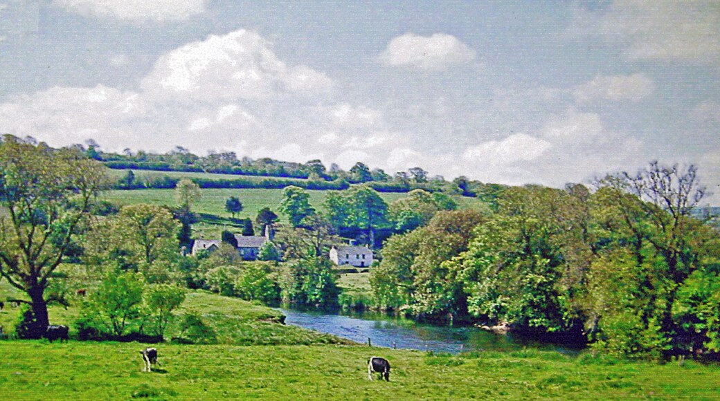Llandygwydd
